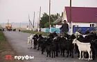 8 особенностей быта в отдалённых деревнях: Башкирия не исключение 