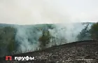 В Башкирии сожжено свыше 10 тысяч гектаров леса