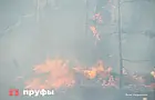 Сейчас в Башкирии горят леса в трех районах − под угрозой ещё 11 муниципалитетов