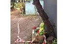 Осужденный за изнасилование и убийство 11-летней Виолетты Токарчук подал в суд на МВД Башкирии