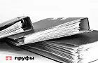 Памфилова дала совет людям, сомневающимся в чистоте выборов в РФ