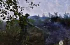Пожары уничтожают леса Башкирии – МЧС объявляет повышенный класс опасности