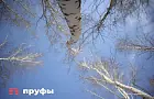 Воду из северных рек хотят перебрасывать на Донбасс – академик РАН объяснил свое предложение