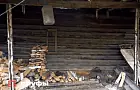 Эта древесина греет почти как дуб, но стоит дешевле