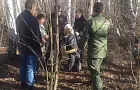 В Башкирии мать задушила 11-летнего сына поясом от халата и закопала тело в лесу