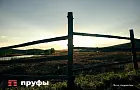 Как кризис топлива повлиял на аграриев в Башкирии