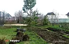 Какие налоги и штрафы положены для тех, кто выращивает овощи на участке 
