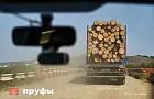 Из Башкирии вывозят лес: за два месяца экспортировали почти 6 тысяч кубометров древесины