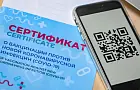 Правительство предложило узаконить обязательные QR-коды в России