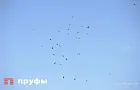 Массированная атака на Ростовскую область: пострадали дети, атакован склад Ozon
