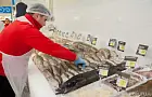 Почему Россию омывает столько морей, а рыба все равно стоит космически 