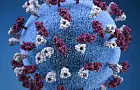 В России зафиксирован рост заболеваемости COVID-19