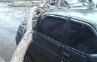 Ураган в Башкирии: дерево упало на легковушку, ветер снес крышу дома