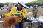 В Башкирии пройдет медовый фестиваль