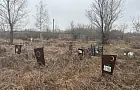 В Уфе обнаружили целое кладбище с маленькими могилами