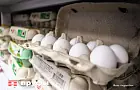 Правда о деревенских и магазинных яйцах: какие лучше