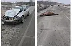 Рейды ДПС будут ежедневными – глава сельсовета разгневался на людей из Башкирии 