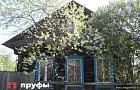 Какие деревья подлежат обязательной вырубке на дачных участках в 2026 году