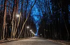 «Наш путь освещает только Луна»: жители Новобулгаково об освещении