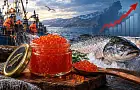 В стране лосося красная икра стоит как золото: куда уходит наш улов