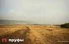 Башкирия бьет рекорды по сахару, а Татарстан борется с осадками: как проходит уборочная кампания
