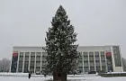 В Уфе установили 90-летнюю елку