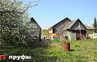 Чем подкормить капусту в августе, чтобы кочаны были плотными и сочными