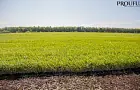 Башкирия получила 2,9 млрд рублей дохода от использования земель