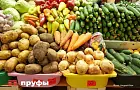Заготовки на зиму в 2026 году: на каких банках действительно можно сэкономить
