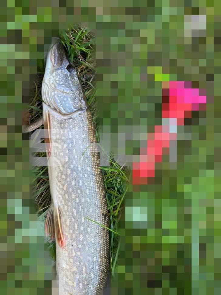 Жалаңаш Маша Ивакова