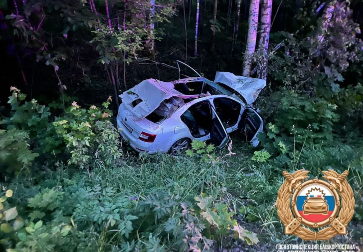 В Башкирии водитель и ребенок погибли в ДТП с лосем