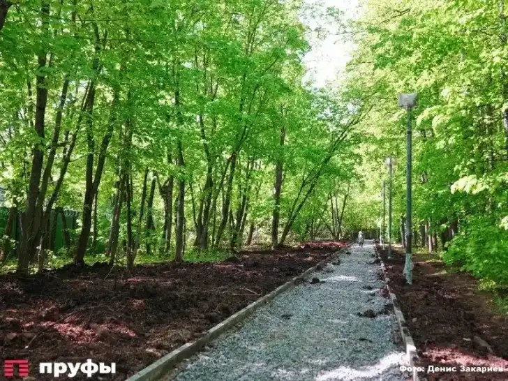 Благоустройство дендропарка Рутто в Уфе планируют завершить на этой неделе