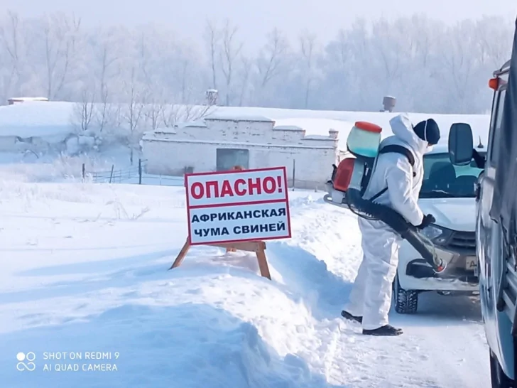 В Башкирии сняли карантин по африканской чуме