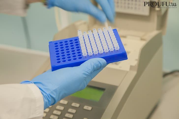 Ученые рассказали, что вакцина БЦЖ может помочь в борьбе в коронавирусом