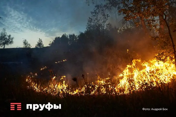 Власти Башкирии объявили о начале сезона природных пожаров