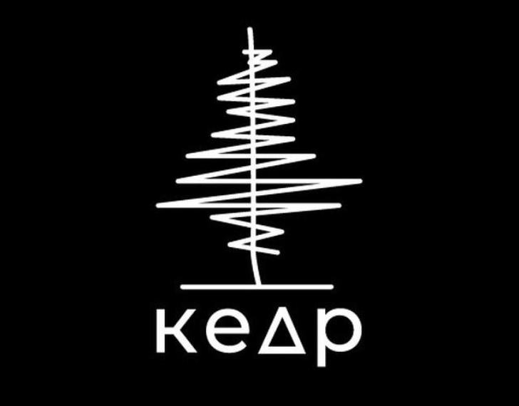 Канал кедр. Кедр медиа. кедр логотип.