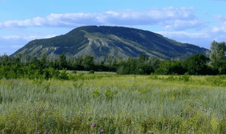 Радий Хабиров о разработке шихана Куштау: «Делать реверансов ни перед кем не буду»