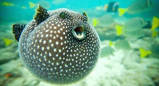 22 апреля: куда сходить в среду в Уфе?