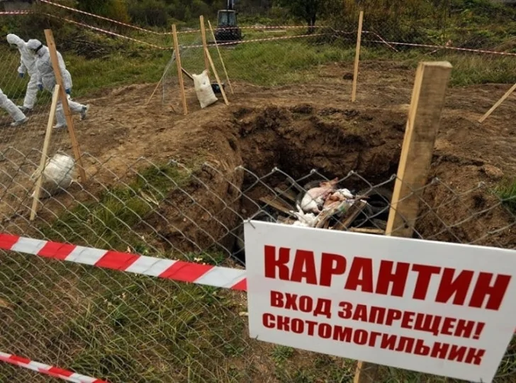 Из-за инфекций в Башкирии запретят скотомогильники