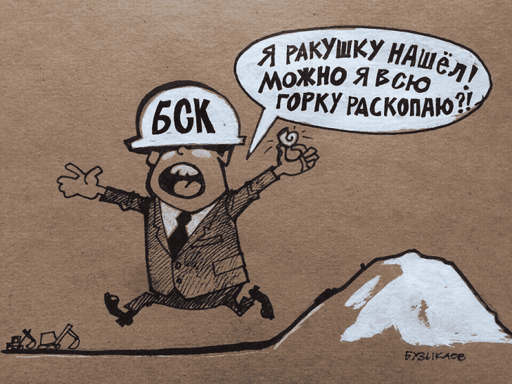 Жители Башкирии могут помочь с изданием книги «Шиханы должны жить!»