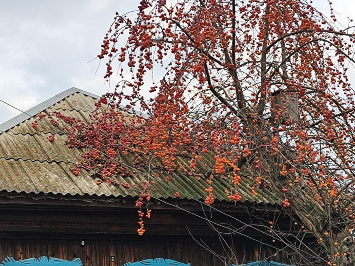 photo_2025-10-19_22-46-20 (2).jpg