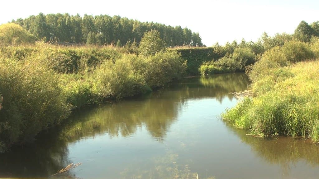 Калтасинский Район Фото