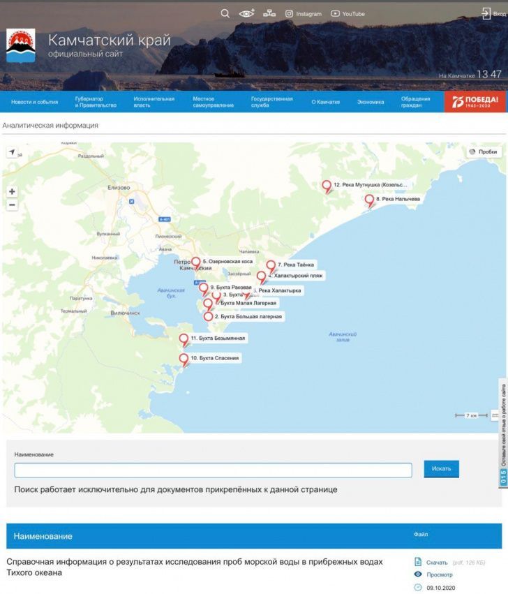 Камчатка анализ