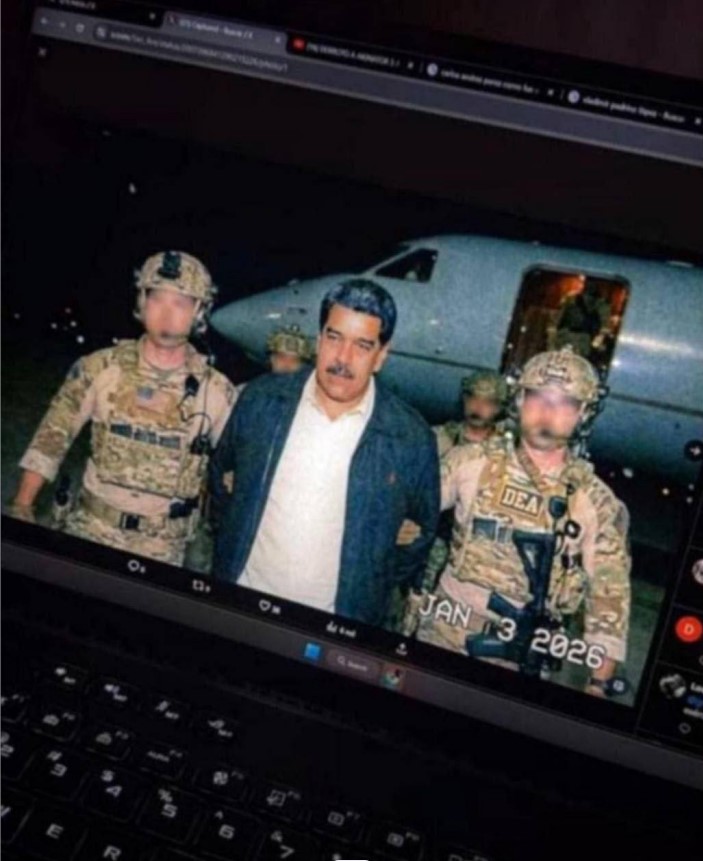 морские котики.jpg