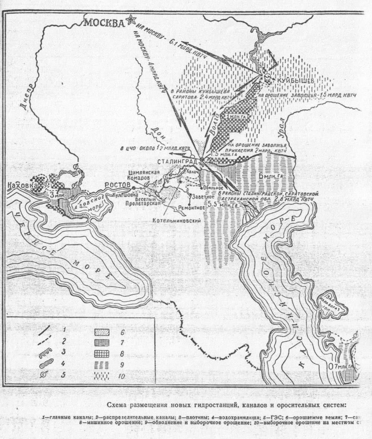 scale_1200.jpg