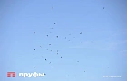 «Гордость школы»: на Эльбрусе погиб 11-летний мальчик, поднимавшийся на вершину вместе с отцом