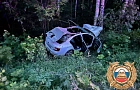 В Башкирии водитель и ребенок погибли в ДТП с лосем