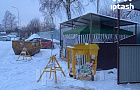 В Казани «одиннадцать друзей Оушена» отпраздновали день рождения у мусорки
