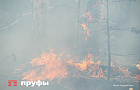 Сейчас в Башкирии горят леса в трех районах − под угрозой ещё 11 муниципалитетов