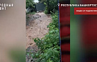 «Вода размывает дорогу и подбирается к газопроводу»: в Уфе разрушенная дамба не справляется с водой